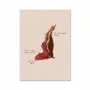 Carterie - Carte d'art - Roses - Illustre Mayon - WALL EDITIONS