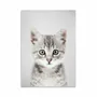 Card shop - Art-Card - Art-Card - Kitten - Gal Design - WALL EDITIONS