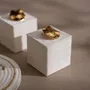 Jewelry - White Vegan Suede Jewelry Display Set with Dishes and Trays - WHISPERING WOODS