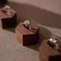 Jewelry - Solid Walnut and Walnut Veneer Jewelry Display Set - WHISPERING WOODS