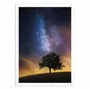 Affiches - Affiche - The dreamer's seat - Lukas Ildza - WALL EDITIONS