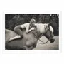 Affiches - Affiche - Off to the Races - JAE - WALL EDITIONS