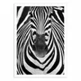 Affiches - Affiche - Zebra Face - Juan Duran - WALL EDITIONS