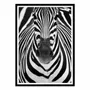 Affiches - Affiche - Zebra Face - Juan Duran - WALL EDITIONS