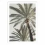 Poster - Art-Poster - Palm_005 - Pictufy Studio III - WALL EDITIONS