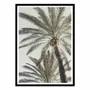 Poster - Art-Poster - Palm_005 - Pictufy Studio III - WALL EDITIONS
