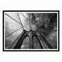 Affiches - Affiche - Brooklyn - Marco Tagliarino - WALL EDITIONS