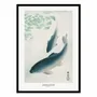 Affiches - Affiche - Carp Or Koi - Pictufy - WALL EDITIONS