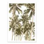 Poster - Art-Poster - Island Bliss - Shot by Clint - WALL EDITIONS