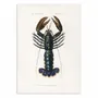 Affiches - Affiche - Crimson Crawfish - Charles Dessalines D - WALL EDITIONS