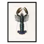 Affiches - Affiche - Crimson Crawfish - Charles Dessalines D - WALL EDITIONS