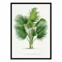Affiches - Affiche - Thrinax V2 - Les Palmiers Histoire - WALL EDITIONS