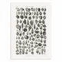 Affiches - Affiche - Sealife III - Oliver Goldsmith - WALL EDITIONS