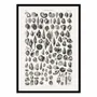 Affiches - Affiche - Sealife III - Oliver Goldsmith - WALL EDITIONS