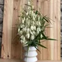 Céramique - Vase sculptural et géométrique en porcelaine blanche - Palindrome C4L - CALLIGRAMME