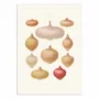 Poster - Art-Poster - Onions (1876) By Ernst Benary - WALL EDITIONS