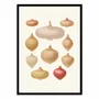 Poster - Art-Poster - Onions (1876) By Ernst Benary - WALL EDITIONS