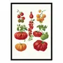 Poster - Art-Poster - Tomatoes (1876) By Ernst Benary - WALL EDITIONS