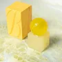 Soap dishes - OBA - Citralis - MATIAS MOELLENBACH