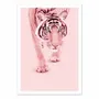 Poster - Art-Poster - Pink tiger - Paul Fuentes - WALL EDITIONS