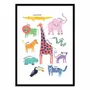 Affiches - Affiche - Animals - Maja Tomljanovic - WALL EDITIONS
