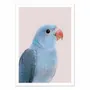 Poster - Art-Poster - Blue parrot - Sisi and Seb - WALL EDITIONS