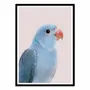 Poster - Art-Poster - Blue parrot - Sisi and Seb - WALL EDITIONS