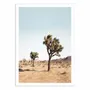 Poster - Art-Poster - Desert tree - Sisi and Seb - WALL EDITIONS