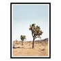 Poster - Art-Poster - Desert tree - Sisi and Seb - WALL EDITIONS