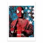 Affiches - Affiche - Vandal Spider - Mr Pablo Costa - WALL EDITIONS
