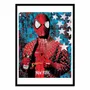 Affiches - Affiche - Vandal Spider - Mr Pablo Costa - WALL EDITIONS
