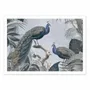 Poster - Art-Poster - Fantastic Peacocks - Andrea Haase - WALL EDITIONS