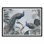 Poster - Art-Poster - Fantastic Peacocks - Andrea Haase - WALL EDITIONS