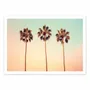 Poster - Art-Poster - California Hollywood Palms - Philippe Hugonnard - WALL EDITIONS