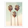 Affiches - Affiche - Beverly Hills Palms Paradise - Philippe Hugonnard - WALL EDITIONS