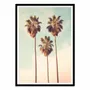 Affiches - Affiche - Beverly Hills Palms Paradise - Philippe Hugonnard - WALL EDITIONS