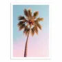 Poster - Art-Poster - Hollywood Palm - Philippe Hugonnard - WALL EDITIONS