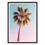 Poster - Art-Poster - Hollywood Palm - Philippe Hugonnard - WALL EDITIONS