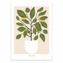 Poster - Art-Poster - Citrus Lemon - Alex Foster - WALL EDITIONS