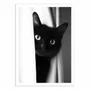 Poster - Art-Poster - Cat's look - Philippe Hugonnard - WALL EDITIONS