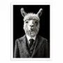 Poster - Art-Poster - Alpaca Wild Suits - Philippe Hugonnard - WALL EDITIONS