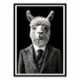 Poster - Art-Poster - Alpaca Wild Suits - Philippe Hugonnard - WALL EDITIONS