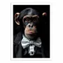 Affiches - Affiche - Chimpanzee Wild Suits - Philippe Hugonnard - WALL EDITIONS