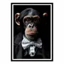 Affiches - Affiche - Chimpanzee Wild Suits - Philippe Hugonnard - WALL EDITIONS