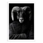 Poster - Art-Poster - Ram Wild Suits - Philippe Hugonnard - WALL EDITIONS
