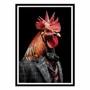 Poster - Art-Poster - Rooster Wild Suits - Philippe Hugonnard - WALL EDITIONS