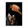 Affiches - Affiche - Toucan Wild Suits - Philippe Hugonnard - WALL EDITIONS