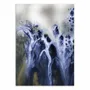 Poster - Art-Poster - Mysteries of the Marsh - Petra Meikle - WALL EDITIONS