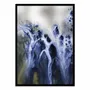 Poster - Art-Poster - Mysteries of the Marsh - Petra Meikle - WALL EDITIONS