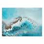 Poster - Art-Poster - Sea Life - Petra Meikle - WALL EDITIONS